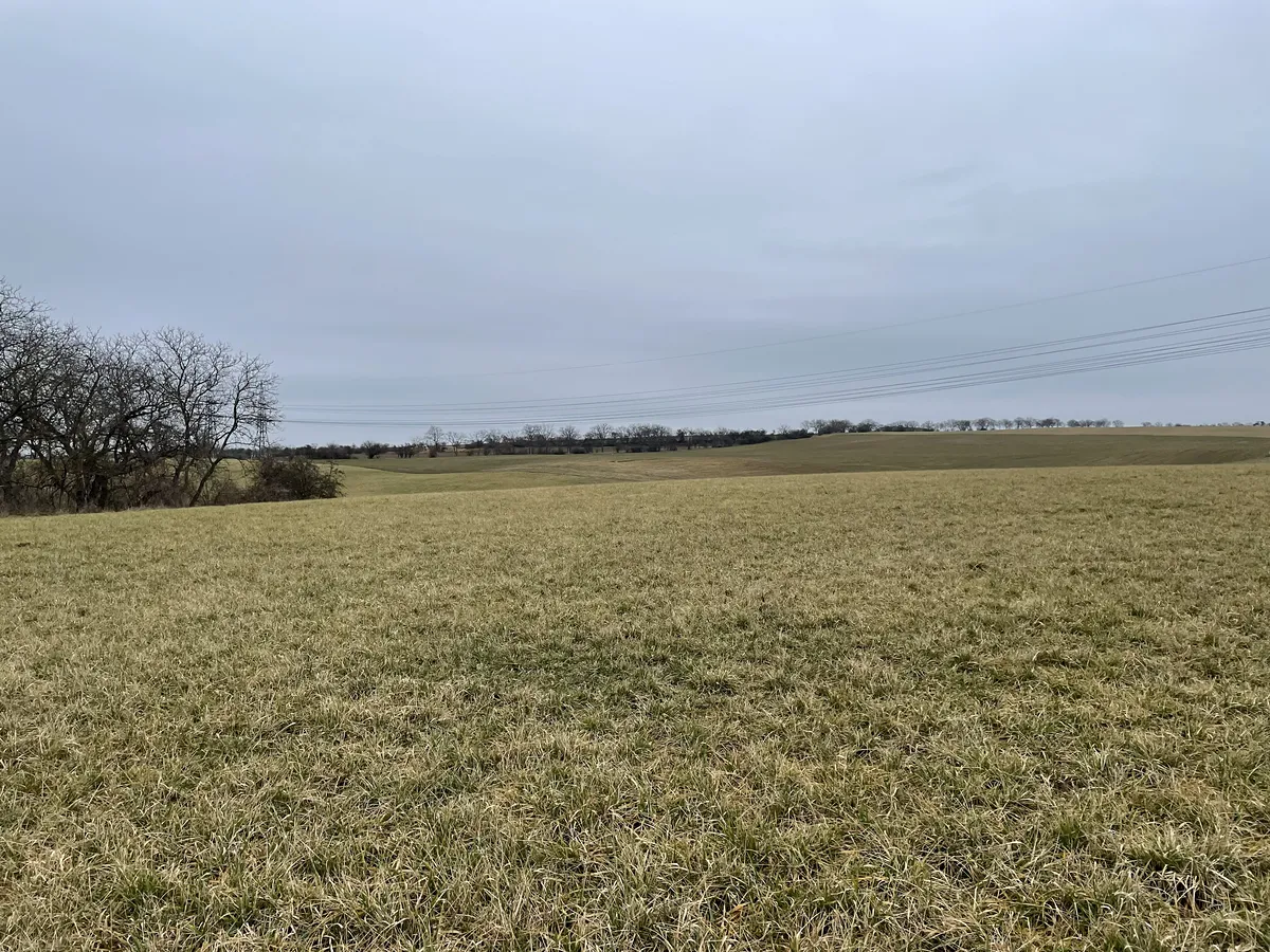 Prodej pole 49770 m²